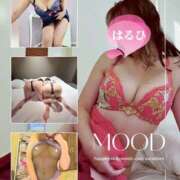 ヒメ日記 2025/11/13 13:48 投稿 はるひ 奥鉄オクテツ神奈川店（デリヘル市場グループ）