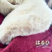 ヒメ日記 2025/12/24 11:40 投稿 はるひ 奥鉄オクテツ神奈川店（デリヘル市場グループ）