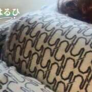 ヒメ日記 2026/01/14 10:49 投稿 はるひ 奥鉄オクテツ神奈川店（デリヘル市場グループ）