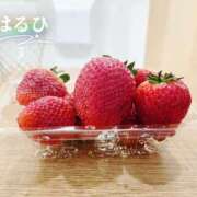 ヒメ日記 2026/01/17 14:07 投稿 はるひ 奥鉄オクテツ神奈川店（デリヘル市場グループ）