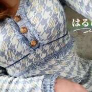 ヒメ日記 2026/01/28 12:34 投稿 はるひ 奥鉄オクテツ神奈川店（デリヘル市場グループ）