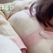 ヒメ日記 2026/02/08 09:50 投稿 はるひ 奥鉄オクテツ神奈川店（デリヘル市場グループ）