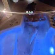 ヒメ日記 2026/02/16 00:01 投稿 はるひ 奥鉄オクテツ神奈川店（デリヘル市場グループ）