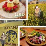 ヒメ日記 2026/02/22 21:26 投稿 はるひ 奥鉄オクテツ神奈川店（デリヘル市場グループ）