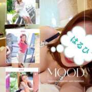 ヒメ日記 2026/04/09 17:35 投稿 はるひ 奥鉄オクテツ神奈川店（デリヘル市場グループ）