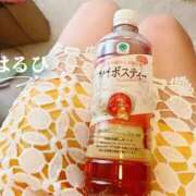 ヒメ日記 2026/07/08 13:25 投稿 はるひ 奥鉄オクテツ神奈川店（デリヘル市場グループ）