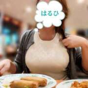 ヒメ日記 2026/08/31 00:15 投稿 はるひ 奥鉄オクテツ神奈川店（デリヘル市場グループ）