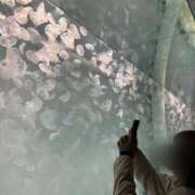 ヒメ日記 2025/01/22 22:40 投稿 ゆい チューリップ土浦店