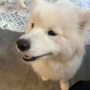 ヒメ日記 2025/06/10 01:18 投稿 ゆい チューリップ土浦店