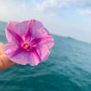 ヒメ日記 2025/08/10 10:54 投稿 ゆい チューリップ土浦店