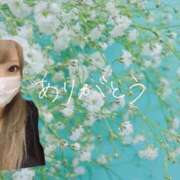 ヒメ日記 2025/09/04 04:08 投稿 ゆい チューリップ土浦店