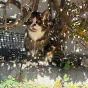 ヒメ日記 2025/11/05 18:24 投稿 ゆい チューリップ土浦店