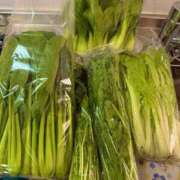 ヒメ日記 2025/11/22 15:48 投稿 ゆい チューリップ土浦店