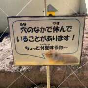 ヒメ日記 2025/11/24 05:28 投稿 ゆい チューリップ土浦店