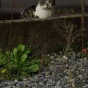 ゆい 11月ラストっ💛 チューリップ土浦店