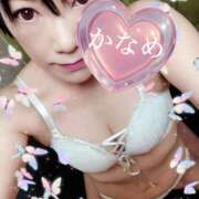 ヒメ日記 2025/04/20 14:05 投稿 かなめ 奥鉄オクテツ東京店（デリヘル市場）