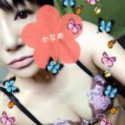 ヒメ日記 2025/04/23 13:55 投稿 かなめ 奥鉄オクテツ東京店（デリヘル市場）