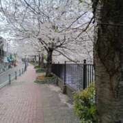 ヒメ日記 2025/04/08 12:57 投稿 井川 ちひろ ミセス・レヴォアール～再会～