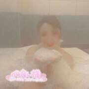 ヒメ日記 2025/02/20 21:53 投稿 ゆめ 甲府人妻城