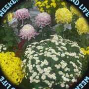 ヒメ日記 2025/11/01 15:06 投稿 えみり クリスタル