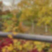 ヒメ日記 2025/11/01 16:46 投稿 えみり クリスタル