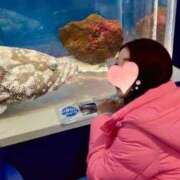 ヒメ日記 2026/01/28 12:36 投稿 えみり クリスタル