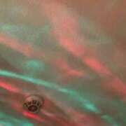 ヒメ日記 2026/02/24 10:16 投稿 えみり クリスタル