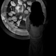 ヒメ日記 2026/03/31 22:06 投稿 えみり クリスタル