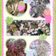 ヒメ日記 2026/04/28 00:46 投稿 えみり クリスタル