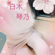 ヒメ日記 2025/04/05 17:48 投稿 白木琴乃 五十路マダム金沢店