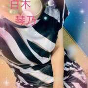 白木琴乃 富山楽しいね〜 五十路マダム金沢店