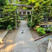 ヒメ日記 2026/07/07 17:36 投稿 白木琴乃 五十路マダム金沢店