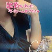 ヒメ日記 2026/07/09 12:16 投稿 白木琴乃 五十路マダム金沢店