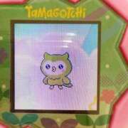 ヒメ日記 2025/08/16 12:00 投稿 はるか 世界のあんぷり亭 錦糸町店