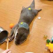 ヒメ日記 2025/08/28 12:01 投稿 はるか 世界のあんぷり亭 錦糸町店