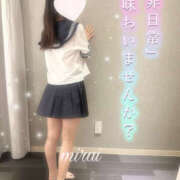 ヒメ日記 2025/02/22 08:18 投稿 Ｍirai（みらい） AMATERAS(アマテラス)(福山)