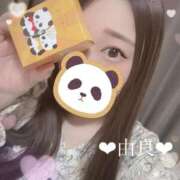 ヒメ日記 2025/04/25 17:50 投稿 由良 上野CLUB A(クラブ エー)