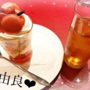 ヒメ日記 2025/07/03 09:40 投稿 由良 上野CLUB A(クラブ エー)