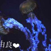 ヒメ日記 2025/07/12 17:31 投稿 由良 上野CLUB A(クラブ エー)