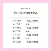 ヒメ日記 2025/02/07 21:51 投稿 せいら いざ候 別館