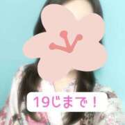 ヒメ日記 2025/02/26 10:36 投稿 せいら いざ候 別館