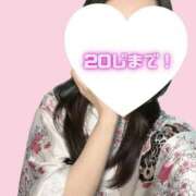 ヒメ日記 2025/03/05 10:14 投稿 せいら いざ候 別館