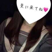 ヒメ日記 2025/04/10 11:54 投稿 せいら いざ候 別館