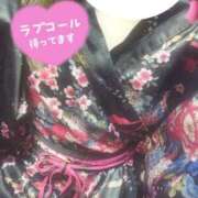 ヒメ日記 2025/04/14 13:04 投稿 せいら いざ候 別館