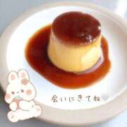 ヒメ日記 2025/04/18 21:04 投稿 せいら いざ候 別館