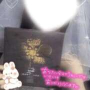 ヒメ日記 2025/10/26 01:44 投稿 せいら いざ候 別館