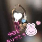 ヒメ日記 2026/01/06 23:38 投稿 せいら いざ候 別館