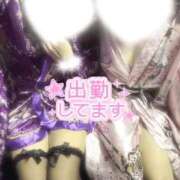 ヒメ日記 2026/01/27 15:04 投稿 せいら いざ候 別館