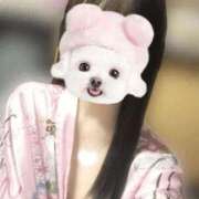 ヒメ日記 2026/04/02 09:54 投稿 せいら いざ候 別館