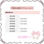 ヒメ日記 2026/06/01 21:32 投稿 せいら いざ候 別館